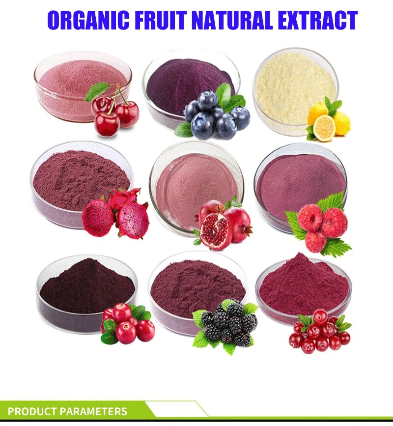 Private Label Organic Blueberry Juice Powder Blueberry Fruit Powder