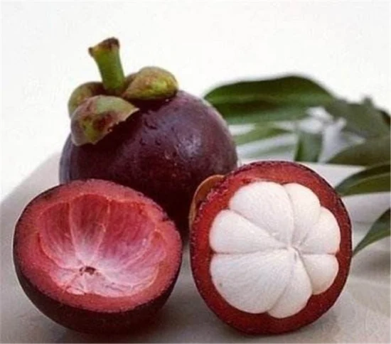 E. K Herb Factory liefert Mangosteen-Fruchtextrakt Xanthon 90 % Pulver zum besten Preis